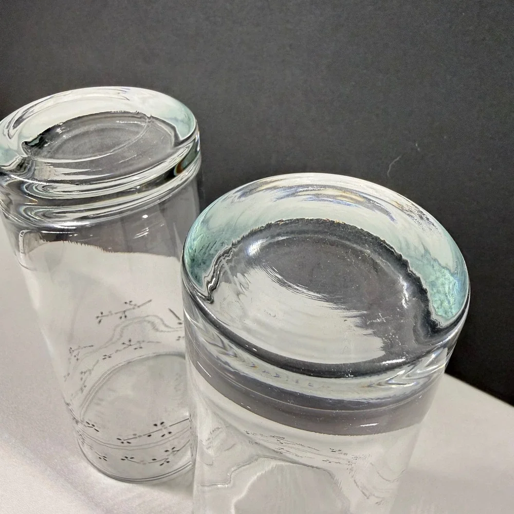 2 Vintage Floral Berry Highball Juice Glasses Set Clear Botanical Tumblers 6.25